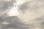D2012012_005H