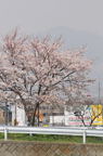 D2012020_005V
