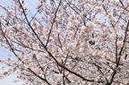 D2012020_012H