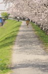 D2012020_024V
