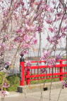 D2012020_038V