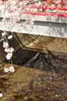 D2012020_049V