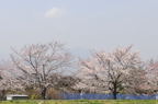 D2012020_056H