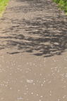 D2012020_059V