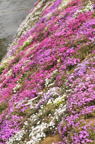 D2012020_103V