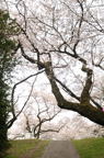 D2012021_006V
