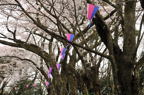D2012021_007H