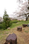 D2012021_011V