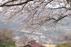 D2012021_019H