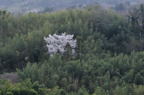 D2012021_030H
