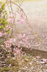 D2012024_020V