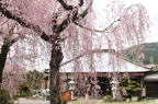 D2012024_022H