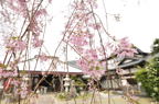 D2012024_035H
