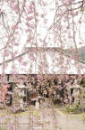 D2012024_041V