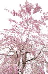 D2012026_021V