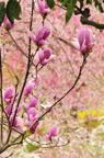 D2012025_022V