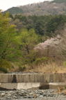 D2012025_045V