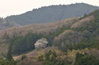 D2012025_071H