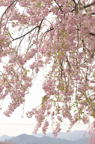 D2012026_027V