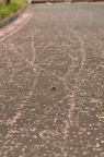 D2012026_055V