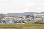 D2012027_042H