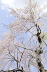D2012028_019V
