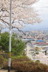 D2012028_024V