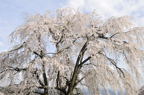 D2012028_029H