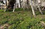 D2012029_013H