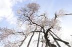 D2012029_030H