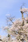 D2012029_036V