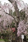D2012030_005V