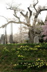 D2012031_003V