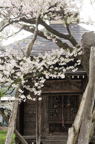 D2012031_023V