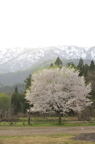 D2012031_037V