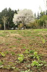 D2012032_009V