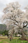 D2012032_010V