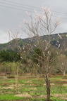D2012032_011V
