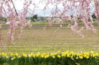 D2012032_014H