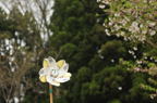 D2012033_003H