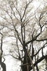 D2012033_013V