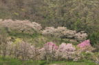 D2012034_021H