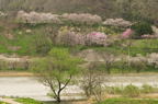 D2012034_025H