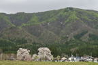 D2012035_075H