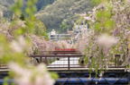 D2012036_013H