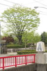 D2012036_034V