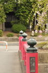 D2012036_054V