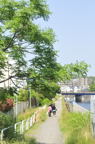 D2012045_001V