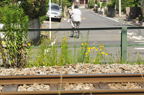 D2012045_048H