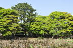D2012045_057H